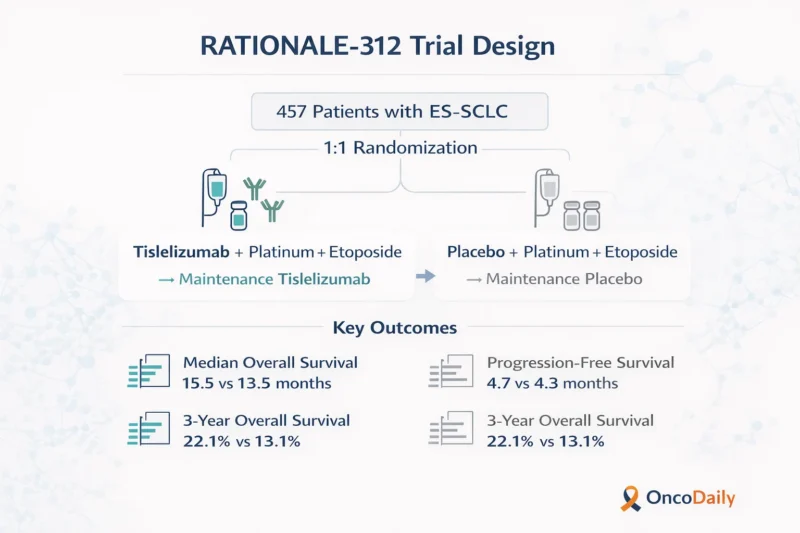 Tislelizumab Plus Chemotherapy in ES-SCLC