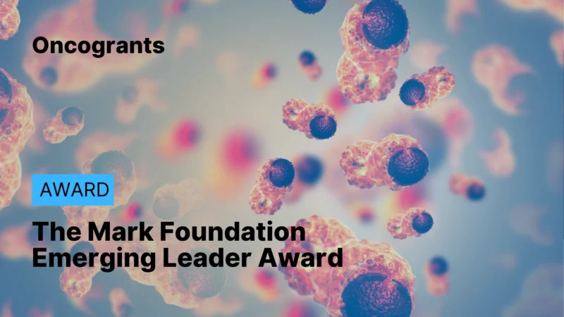 The Mark Foundation Emerging Leader Award (ELA) 2026