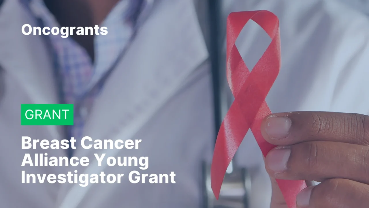 Breast Cancer Alliance Young Investigator Grant 2027