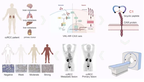 EAU26 - OncoDaily