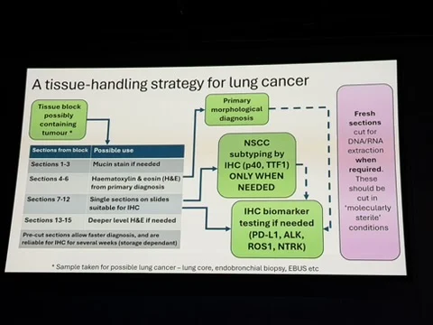ELCC - OncoDaily