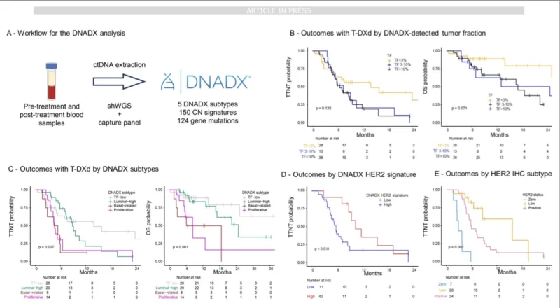Trastuzumab Deruxtecan