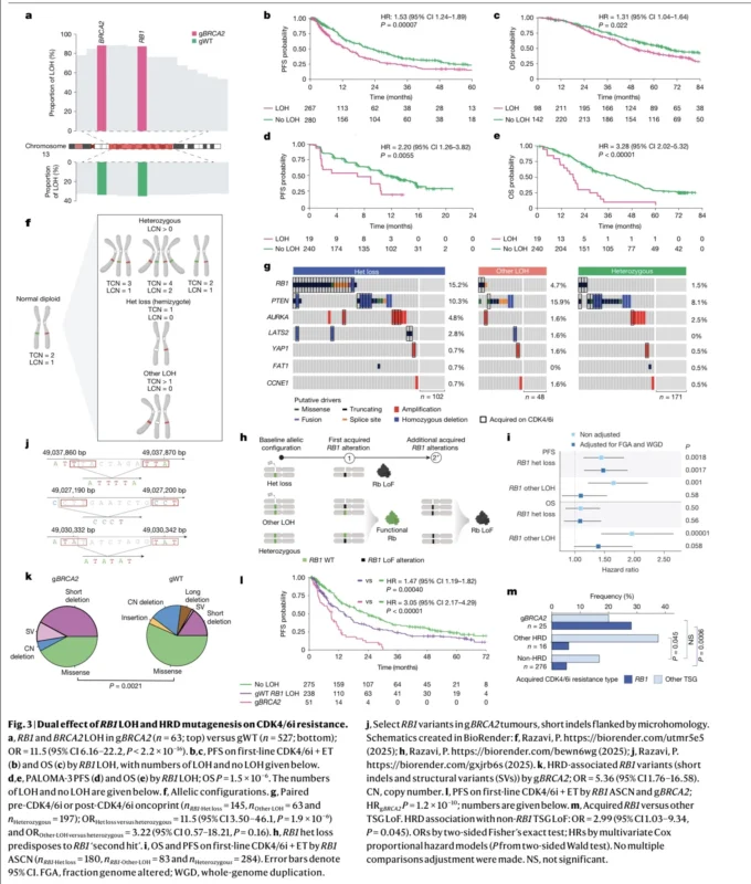 BRCA2-Driven Breast Cancer