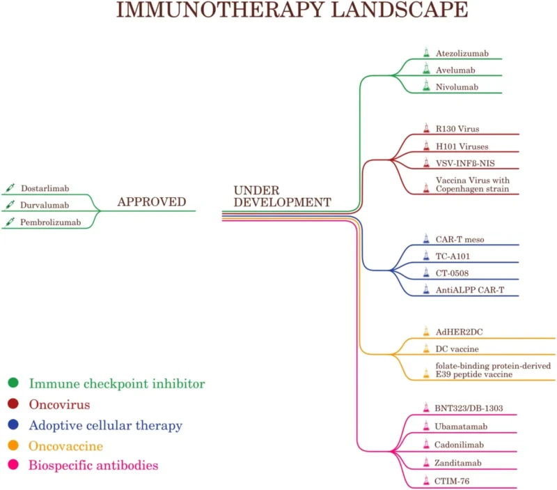 Endometrial cancer