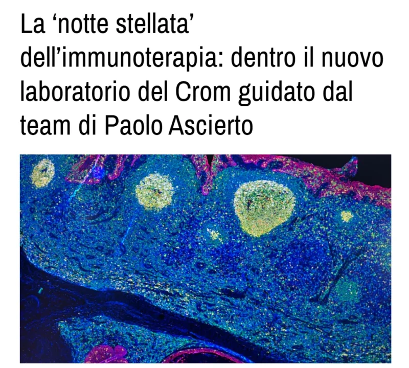 Paolo A. Ascierto