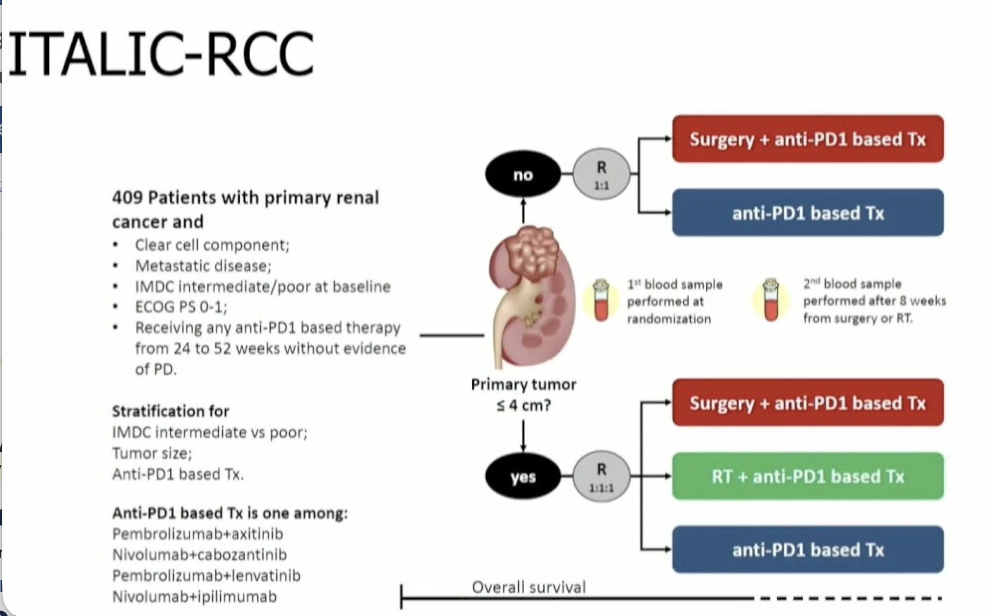 renal cancer