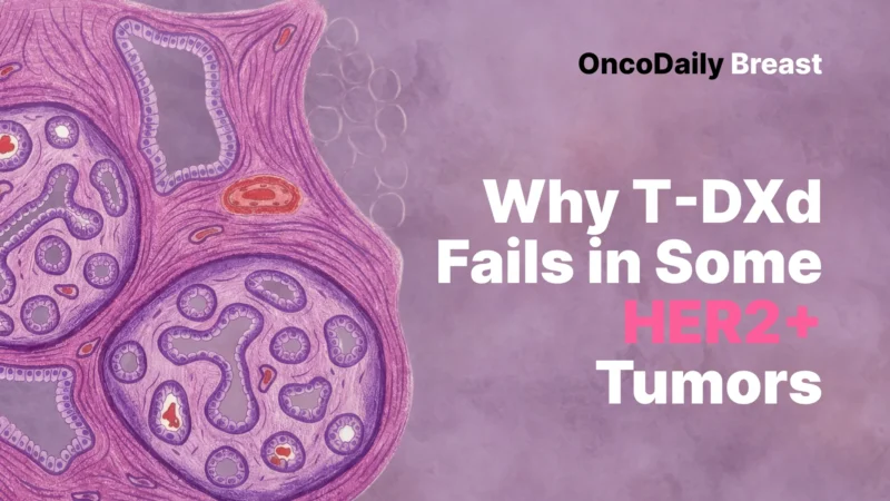 HER2 Heterogeneity in Breast Cancer May Explain Why Some Tumors Escape T-DXd