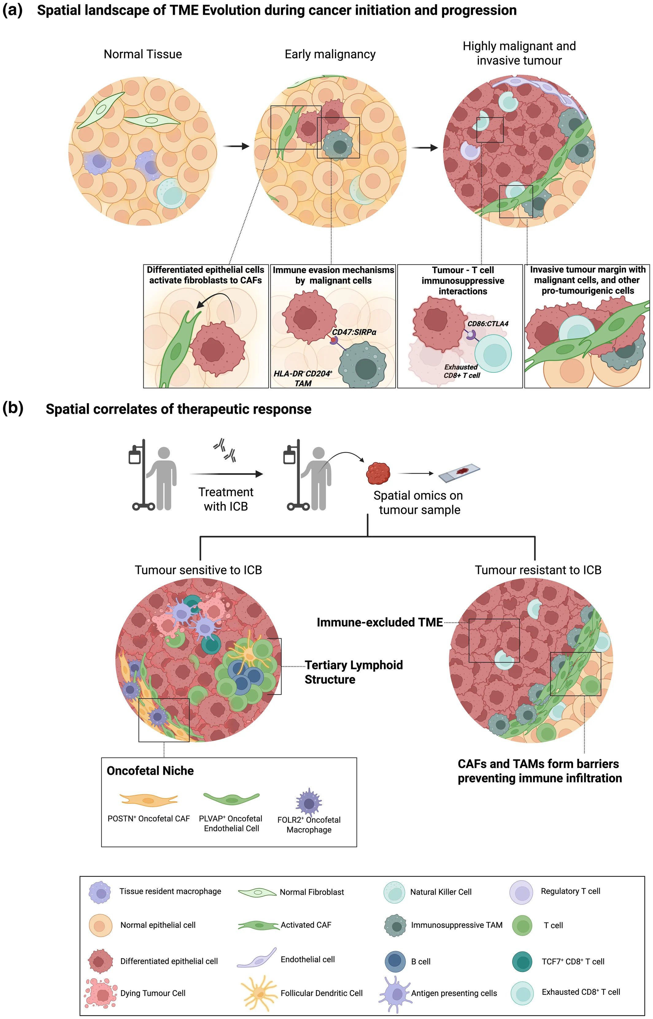 spatial omics