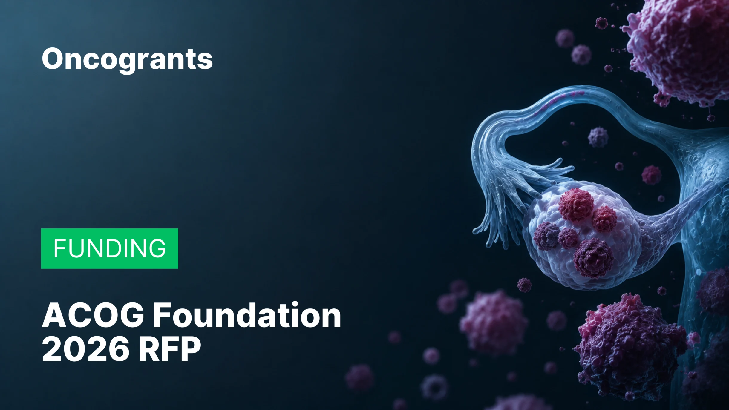 ACOG Foundation 2026 Request for Grant Proposals