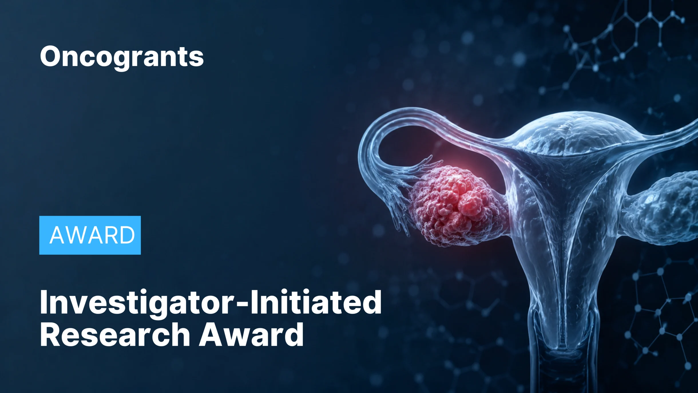 Investigator-Initiated Research Award — DoD Ovarian Cancer Research Program