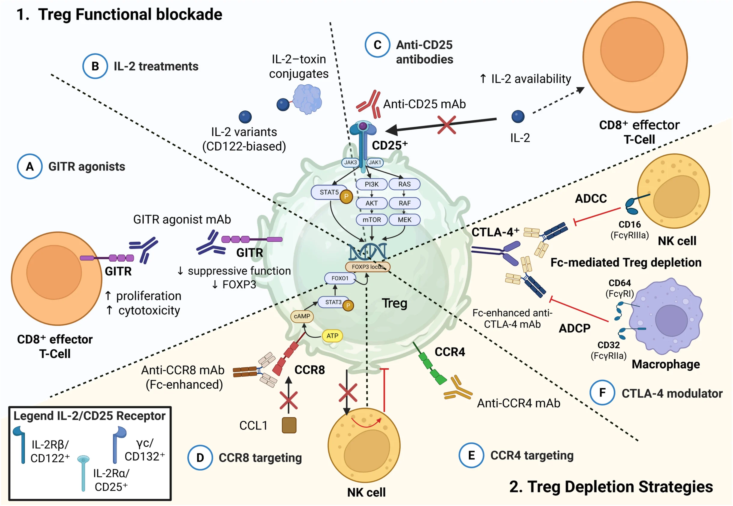 DRUN trial