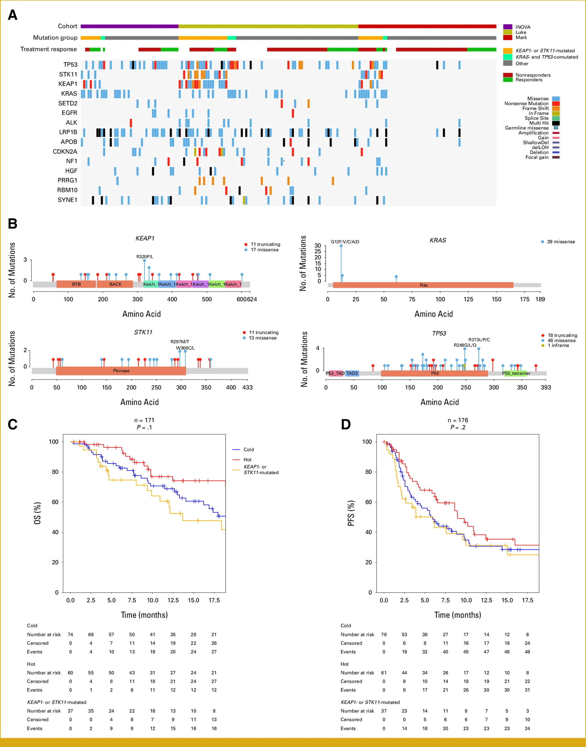 immunophenotypic signatures