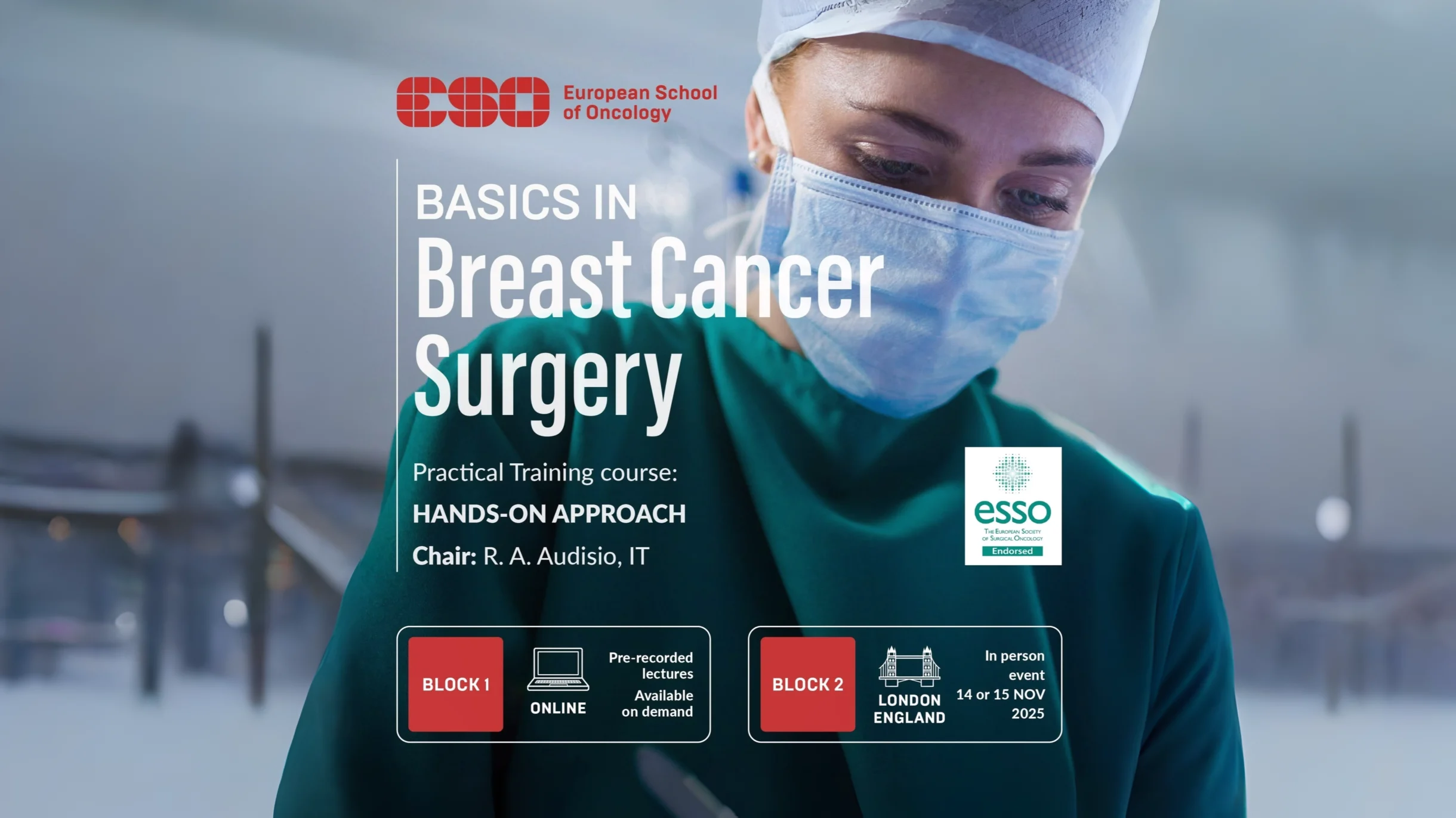 European School of Oncology's Basics in Breast Cancer Surgery 9 Oncology