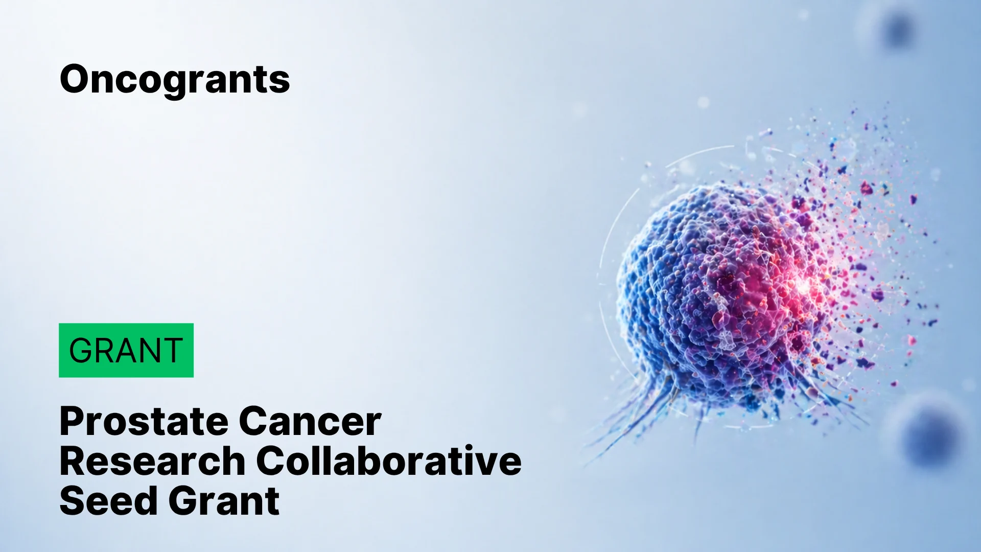 Prostate Cancer Research
