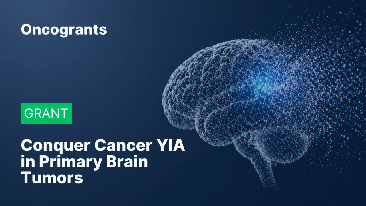 Conquer Cancer YIA in Primary Brain Tumors 2027