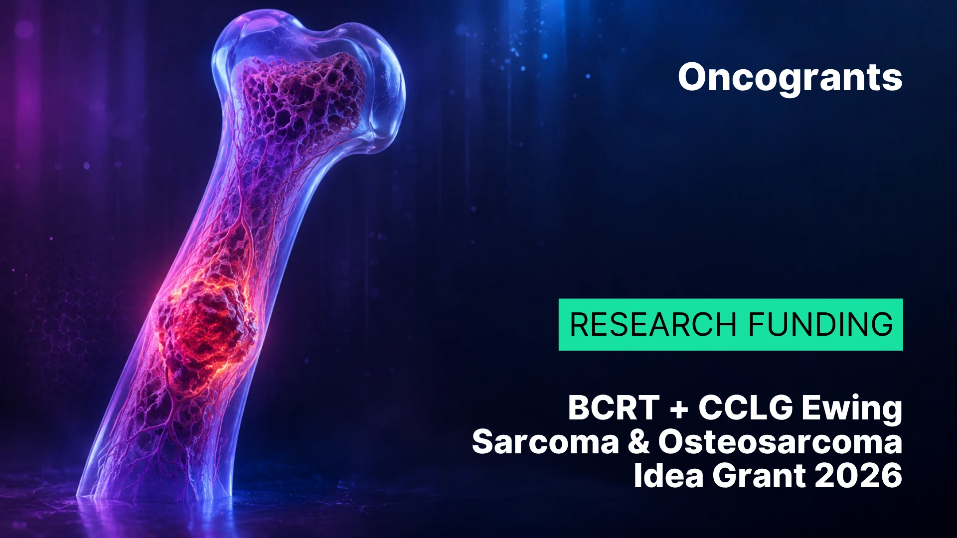 CCLG Idea Grant 2026