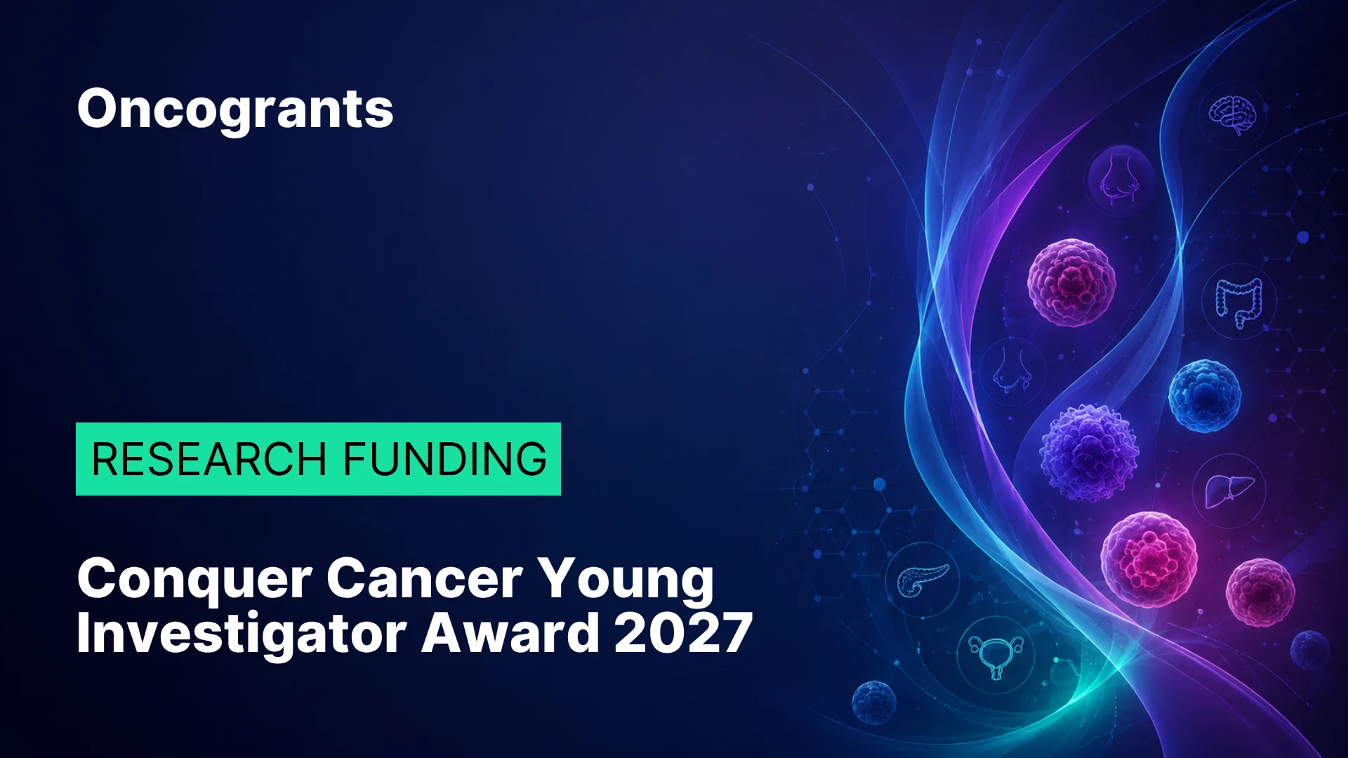 Young Investigator Award 2027