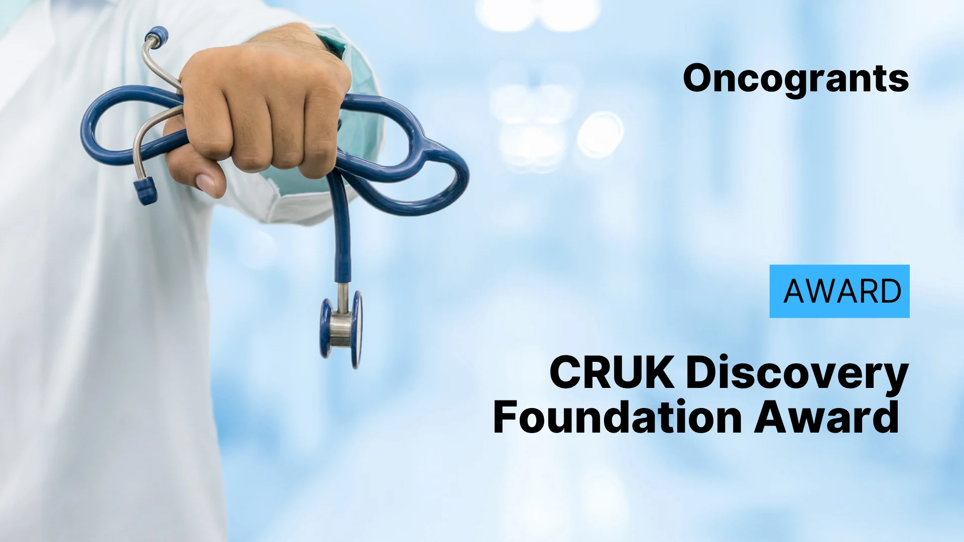 Discovery Programme Foundation