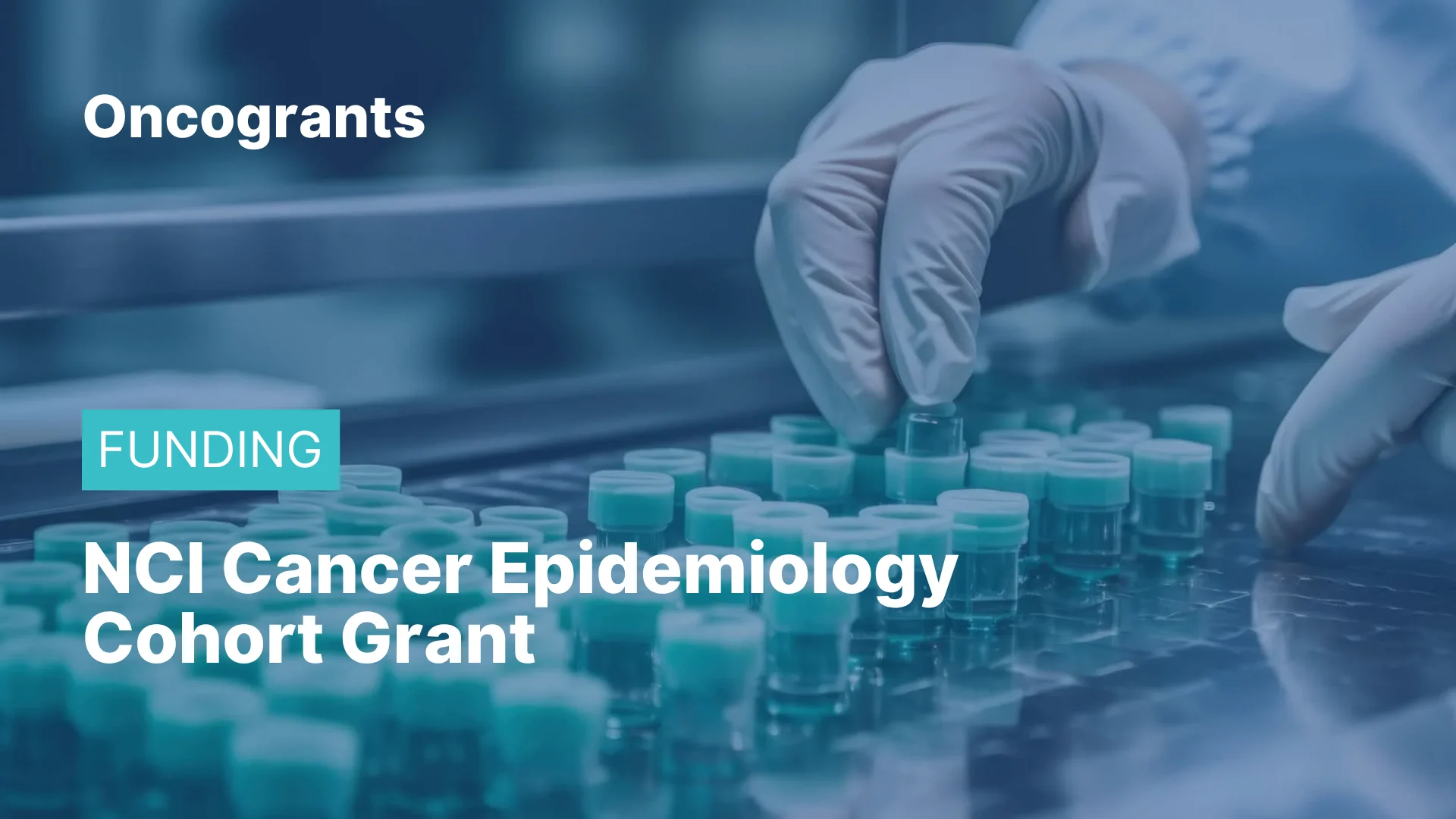Cancer Epidemiology Cohort