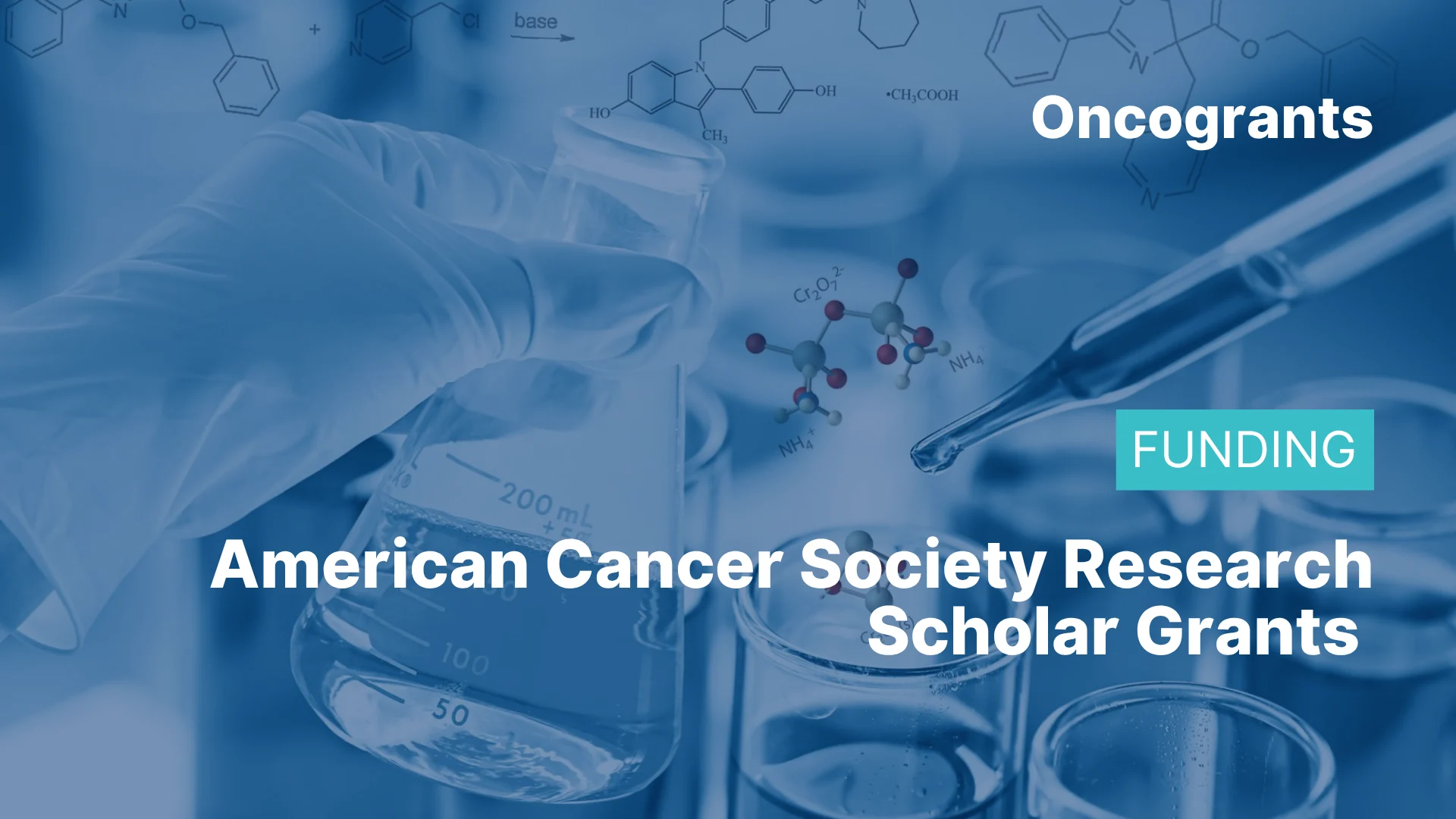 Research Scholar Grants