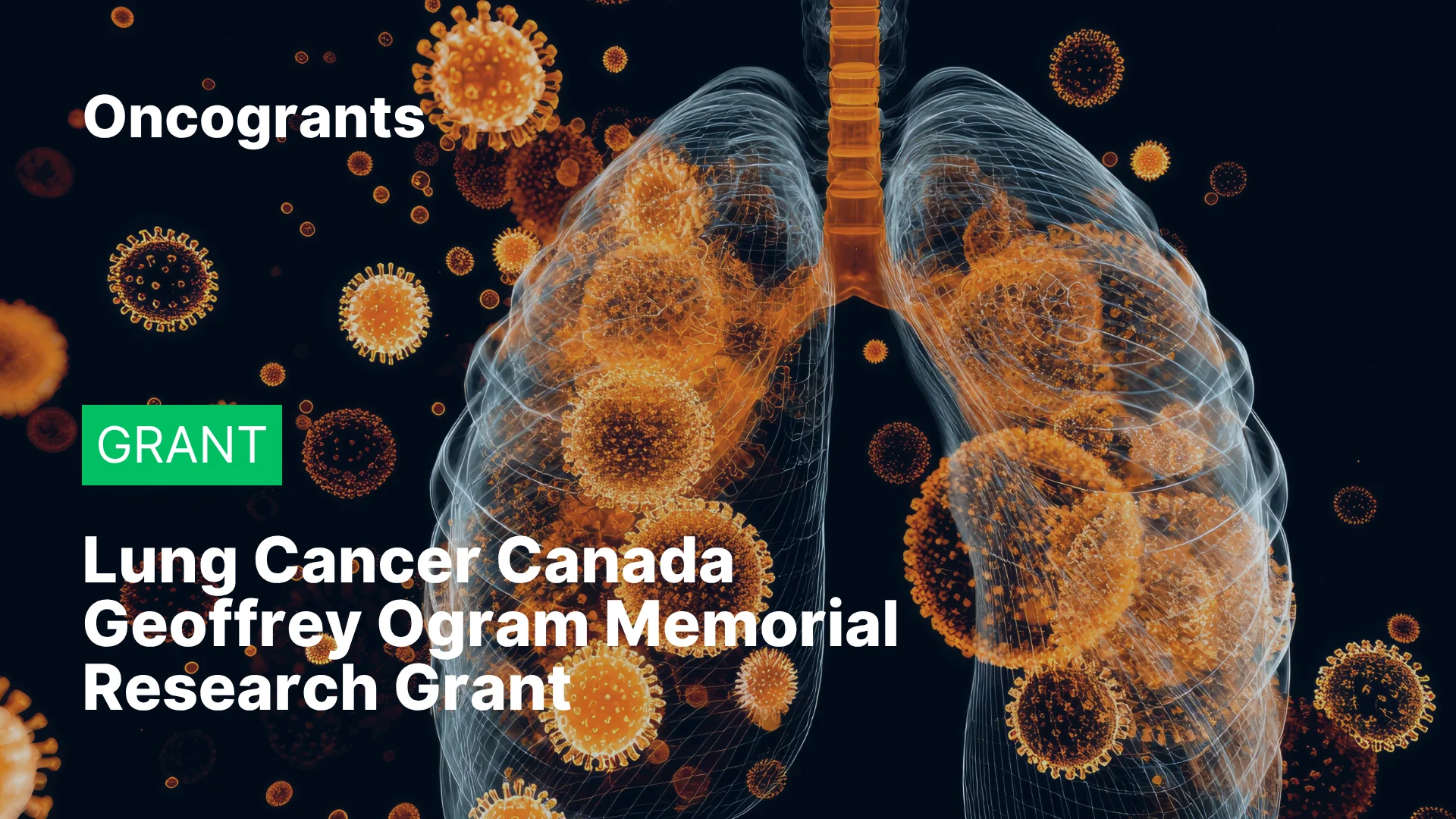 Geoffrey Ogram Memorial Research Grant
