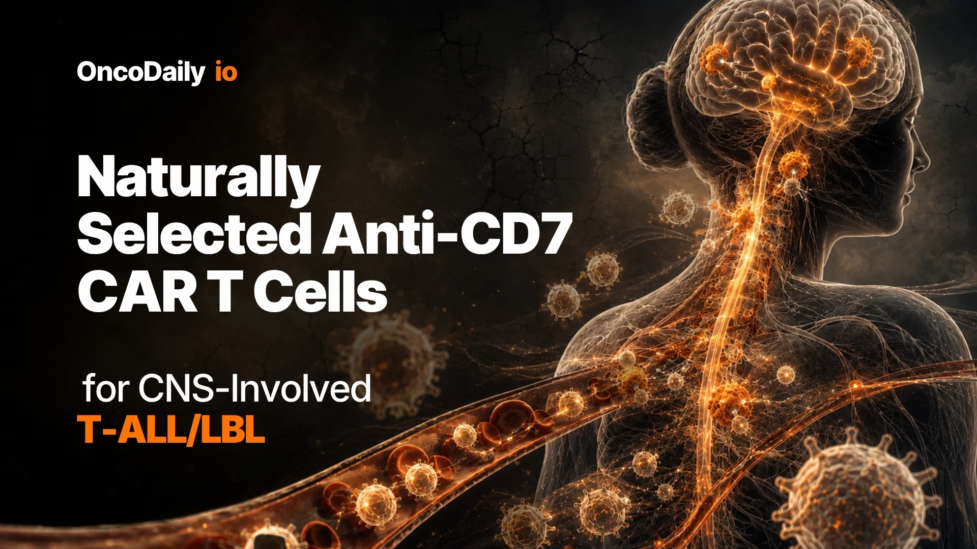 Anti-CD7 CAR T T-ALL/LBL
