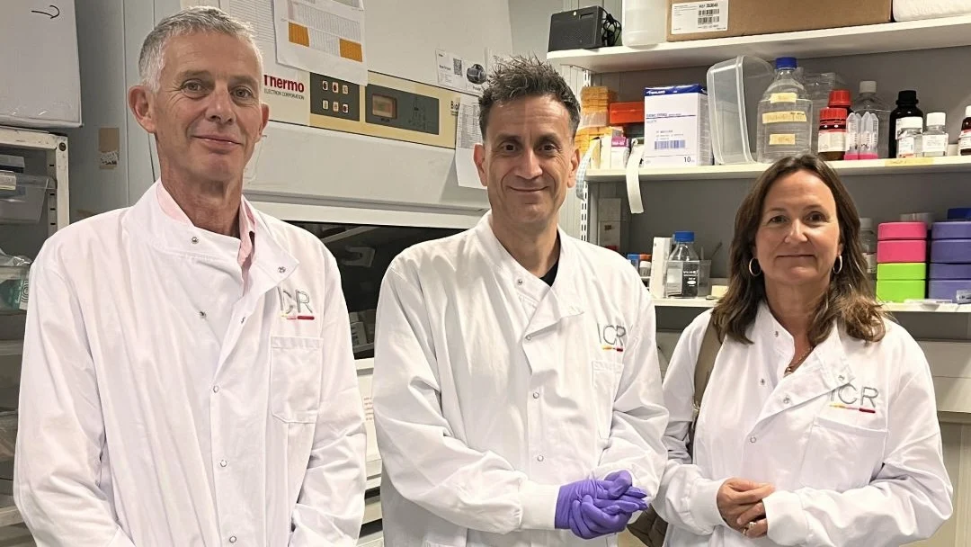 The Institute of Cancer Research