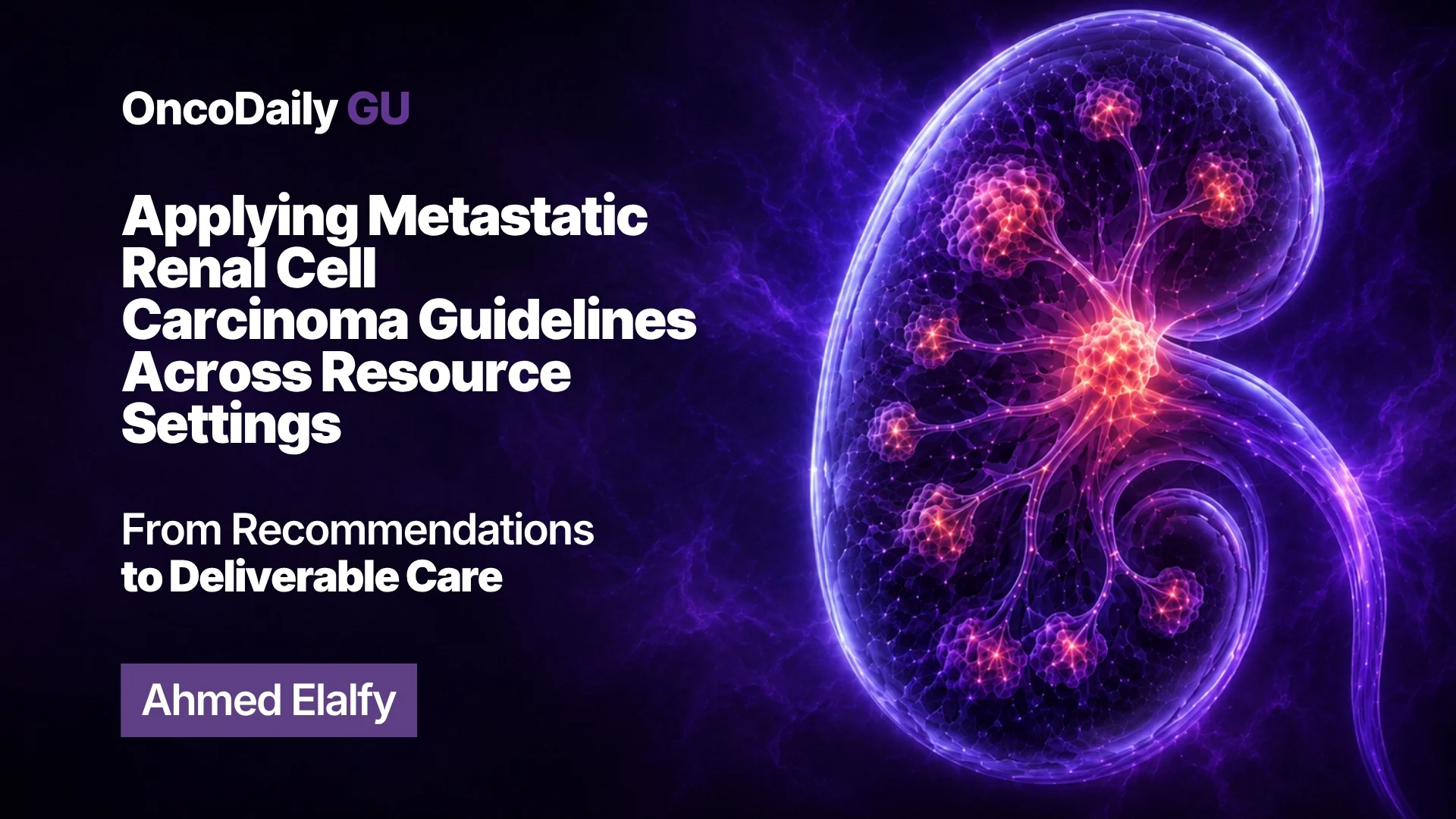 Applying Metastatic Renal Cell Carcinoma Guidelines Across Resource Settings: From Recommendations to Deliverable Care