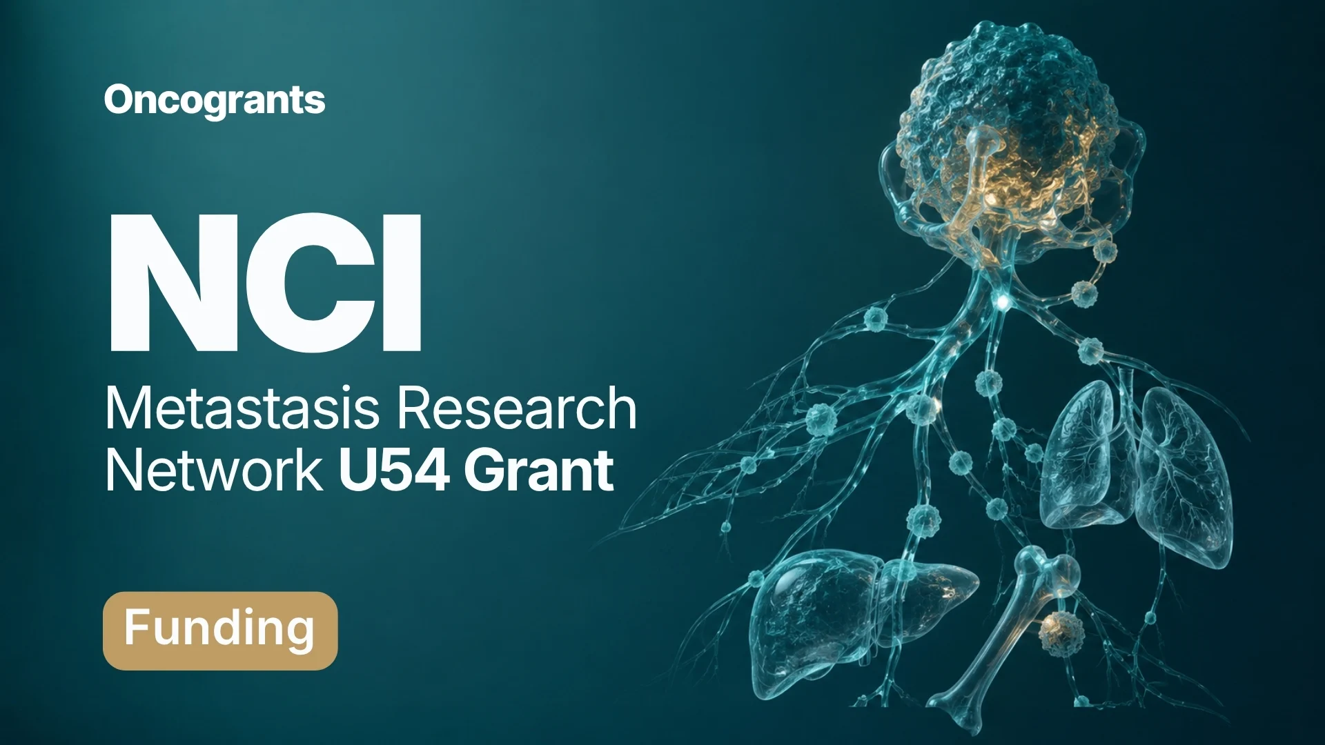 Metastasis Research Network