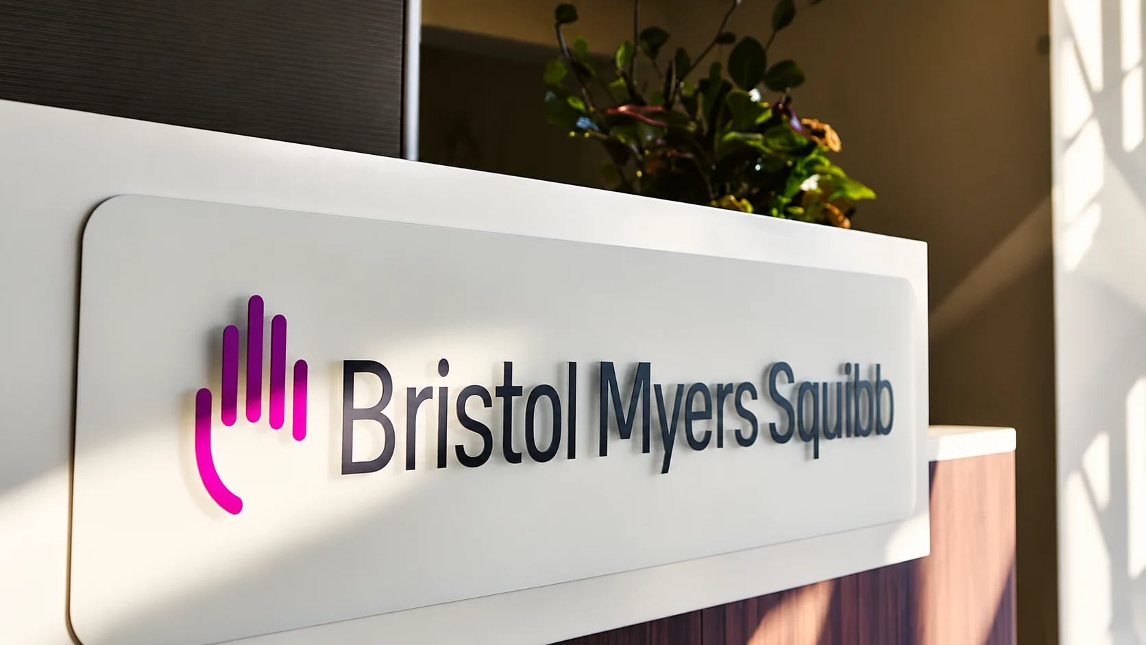 Bristol Myers Squibb