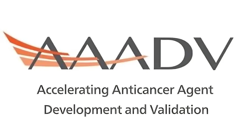 AAADV Workshop Foundation