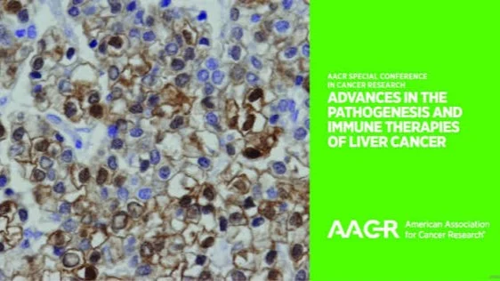 AACR Special Conference